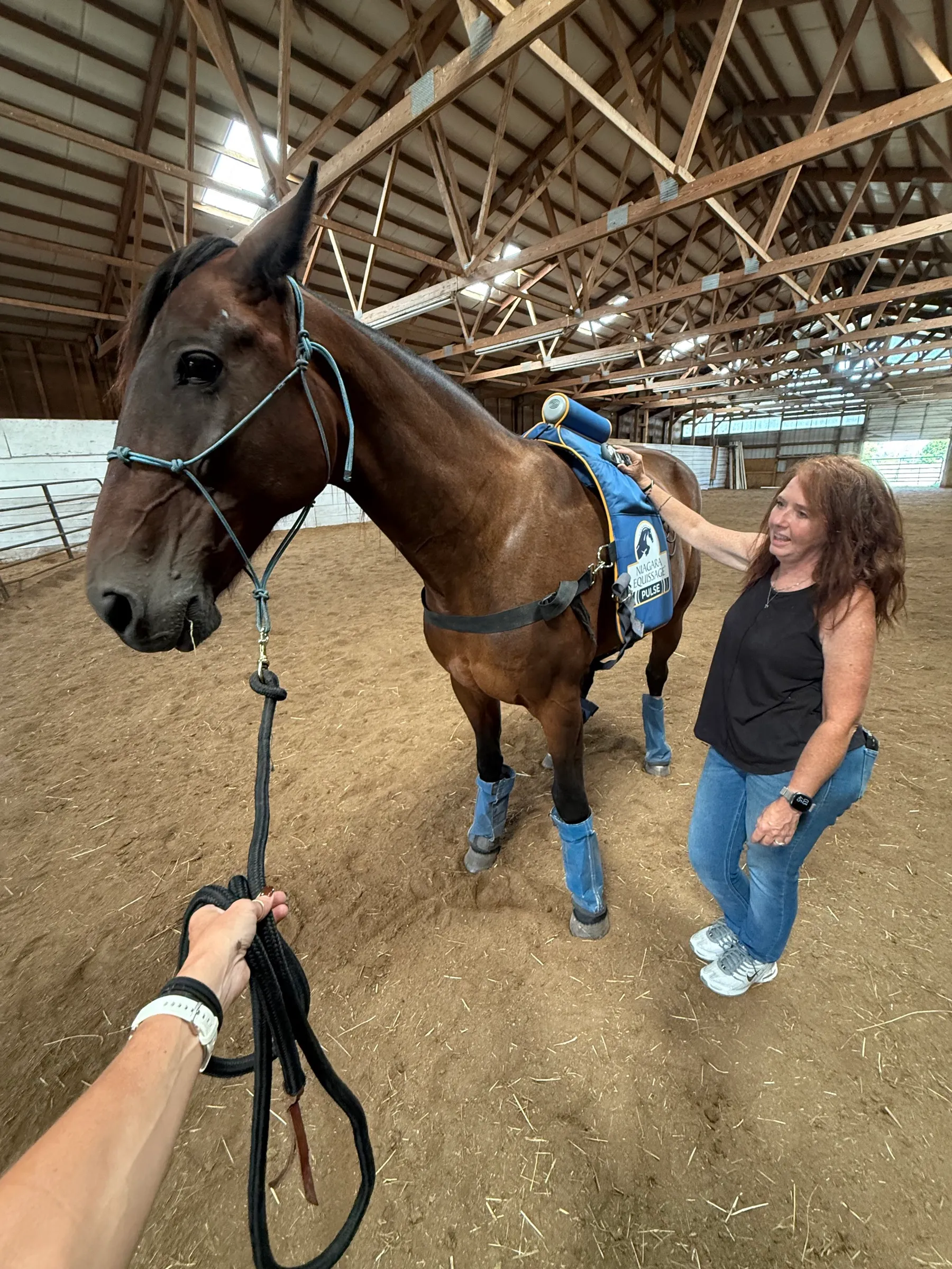 A handler adjusting an Equissage massage pad on Artspire in an indoor arena