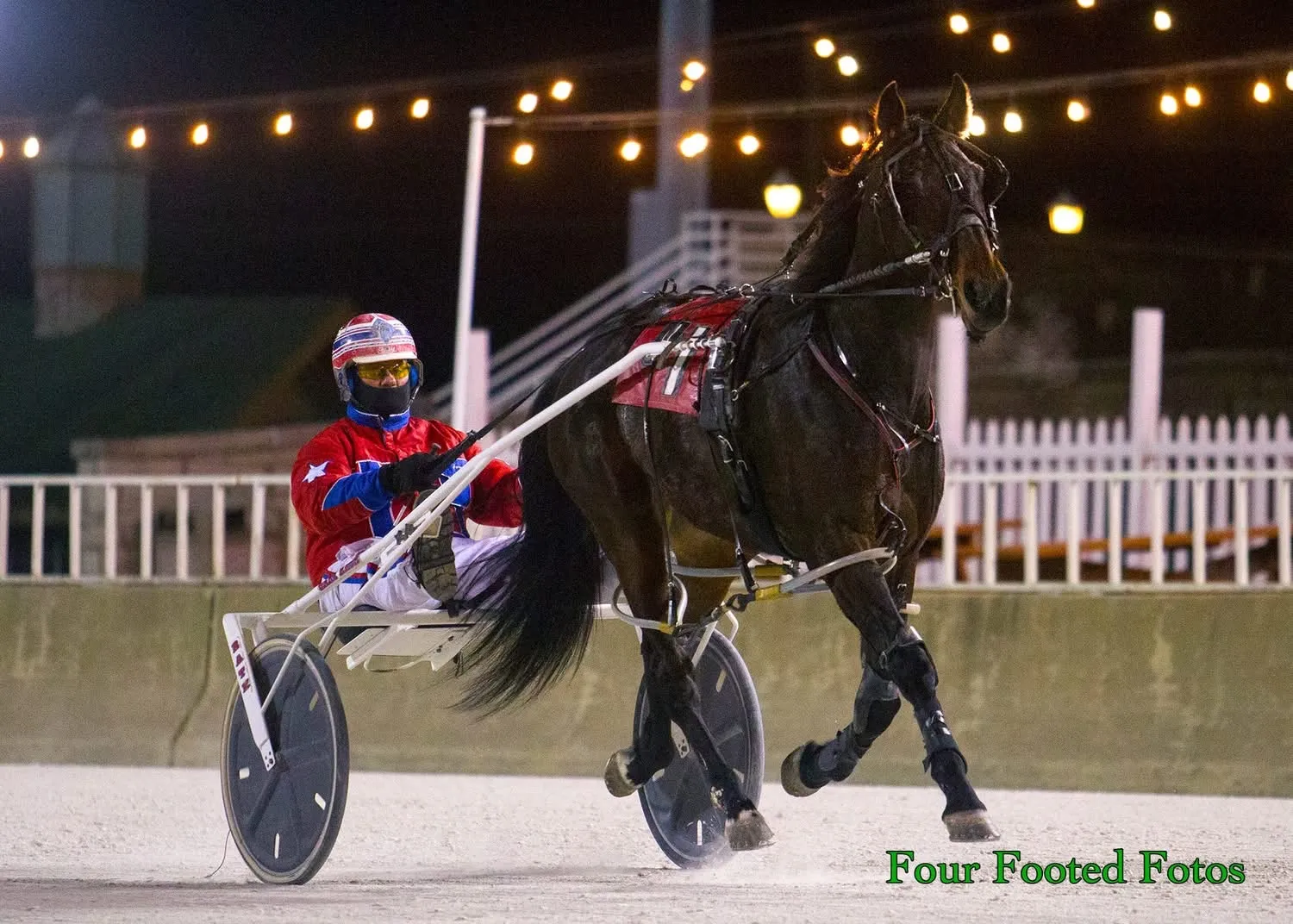 Artspire racing in harness at night